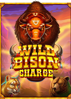 pg slot ซื้อ ฟรี ส ปิ นแจก เงิน บา คา ร่า สิ่งที่นักปั่นไม่ควรพลาด